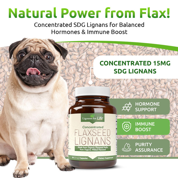 Lignans For Life Flaxseed Lignans for Dogs & People - Organic Flaxseed Supplement for Hormone Support, 15mg 90 Capsules, Flax Seed for Dogs & Women,