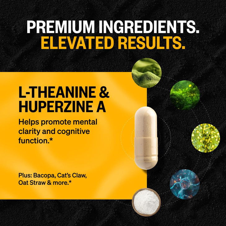 ONNIT Cognitive Performance Bundle: Alpha Brain Nootropic Capsules (90 Count) + Alpha Brain Black Label Capsules (80 Count), IGEN Non-GMO Tested Focu