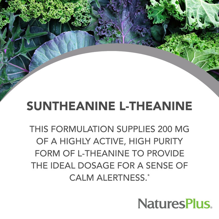 NaturesPlus PRO Suntheanine L-Theanine - 60 Capsules - Supports Calm Alertness, Healthy Relaxation & Improved Rest - Non-GMO, Vegan & Gluten Free - 6