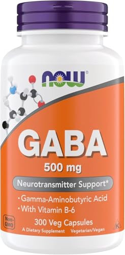 Now Supplements GABA 500 mg Capsules, Premium GABA Supplement for Stress Relief, Vegetarian, Vegan, and Kosher Friendly, Ideal for Balanced Brain Fun