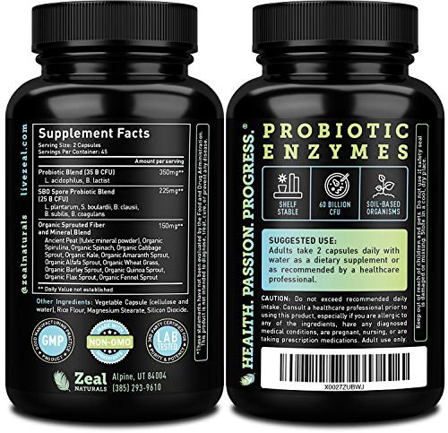 Probiotics and Prebiotics + SBO Probiotics (60 Billion CFU | 90 Capsules) Acidophilus Probiotic w. Saccharomyces Boulardii, Bifidobacterium + Spore P
