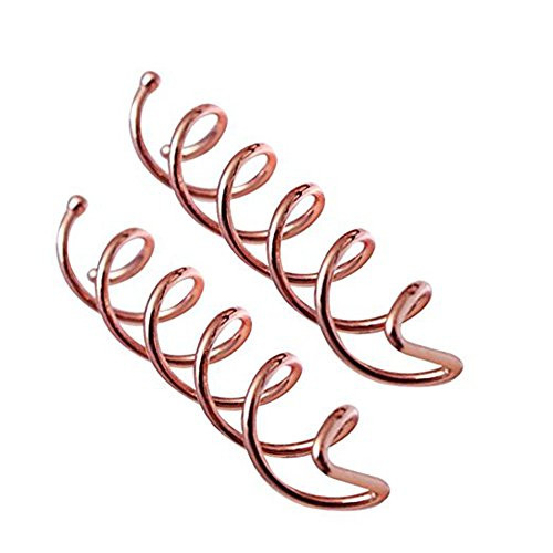 10 Pieces Simple Styles Spiral Hair Pin Screw Hair Pin (Rose gold)
