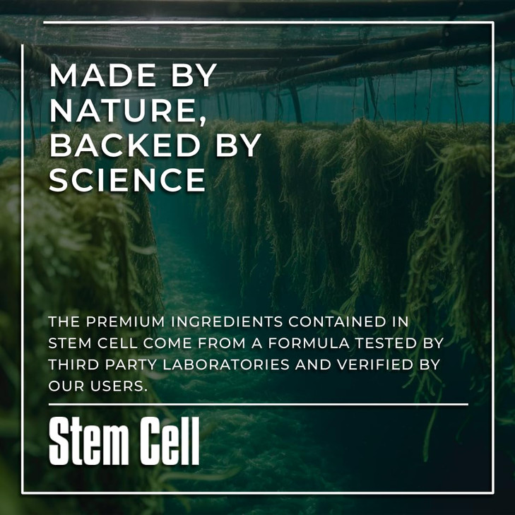 Premium Stem Cell Supplements 1,000mg (240 Caps) Boost Immunity, Reduce Joint Soreness, Support Natural Anti-Aging & Longevity with Spirulina & Chlor
