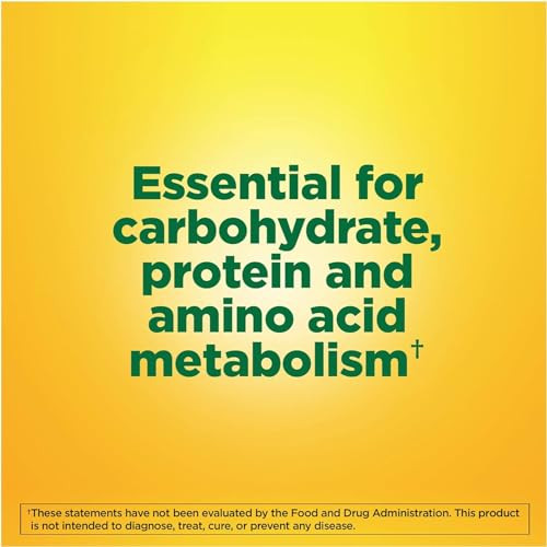 Nature Made Vitamin B-6 100 mg Tablets 100 ea (Pack of 4)