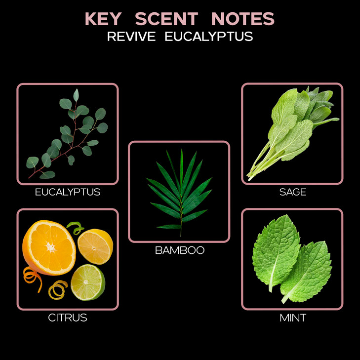 LOVSPA Eucalyptus Reed Diffuser Set for Home, Revive Fresh Eucalyptus, Sage, Citrus & Mint Scent Diffuser with Sticks for Bathroom Shelf Decor Access