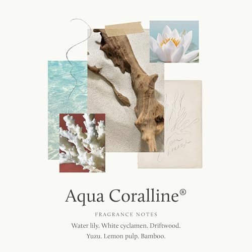 Thymes Petite Reed Diffuser Set  Includes Rattan Wood Sticks, Fragrance Oil, & Glass Bottle  Home Fragrance Oil Diffuser  Luxury Home Decor  Gues