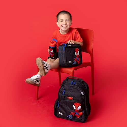Simple Modern Kids Summit Water Bottle with Straw Lid | Marvel Spider Man 14oz Stainless Steel Cup Insulated Tumbler for Toddlers, Boys, School | Spi