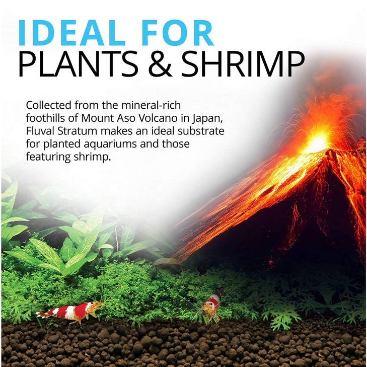 Fluval 12694 Plant and Shrimp Stratum for Freshwater Fish Tanks, 8.8 lbs.  Aquarium Substrate for Strong Plant Growth, Supports Neutral to Slightly