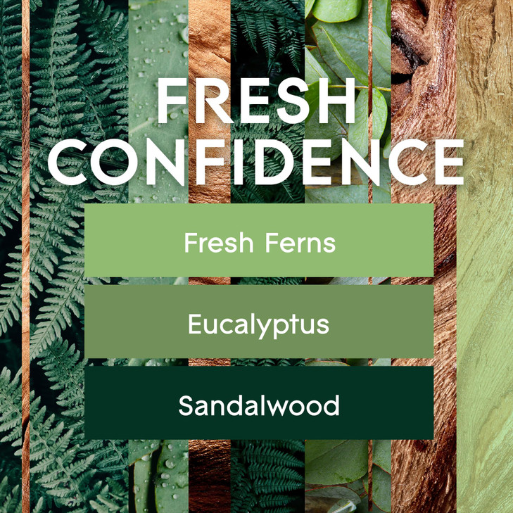 Glade PlugIns Refills Air Freshener, Fresh Confidence, Scented and Essential Oils for Home and Bathroom, 0.67 Fl Oz, 2 Count