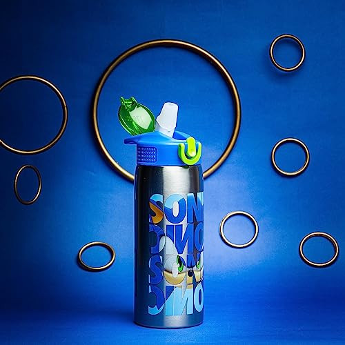 Zak Designs Sonic the Hedgehog Water Bottle for Travel and At Home, 19 oz Vacuum Insulated Stainless Steel with Locking Spout Cover, Built-In Carryin