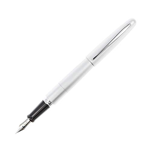 PILOT Metropolitan Collection Fountain Pen, Silver Barrel, Classic Design, Fine Nib, Black Ink (91113)