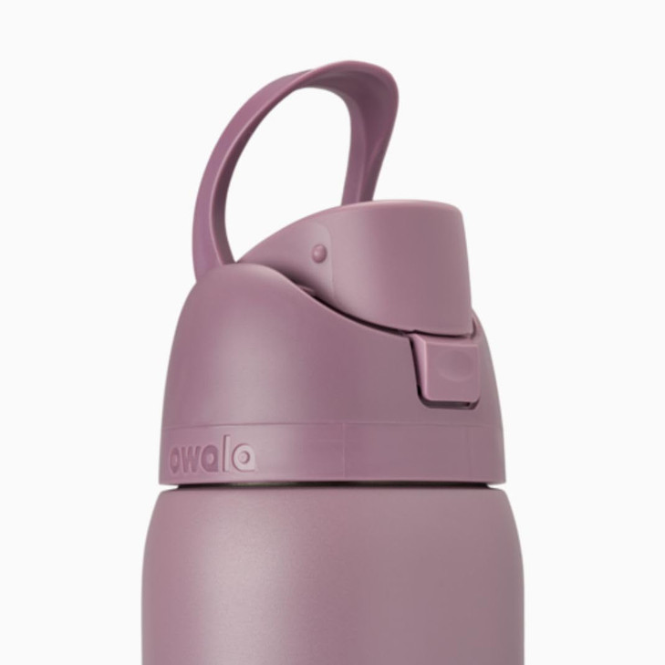 Owala Spring Purple Stainless Steel FreeSip 32oz, 1 EA