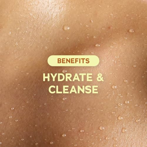 Tree Hut Cinnamon Dolce Foaming Gel Body Wash, Mothers Day Gifts, Hydrating & Moisturizing Shower Gel for Soft, Smooth, Radiant Skin, Cozy Café Scent