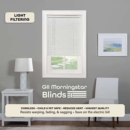 Cordless Light Filtering Mini Blind - 27 Inch Width, 64 Inch Length