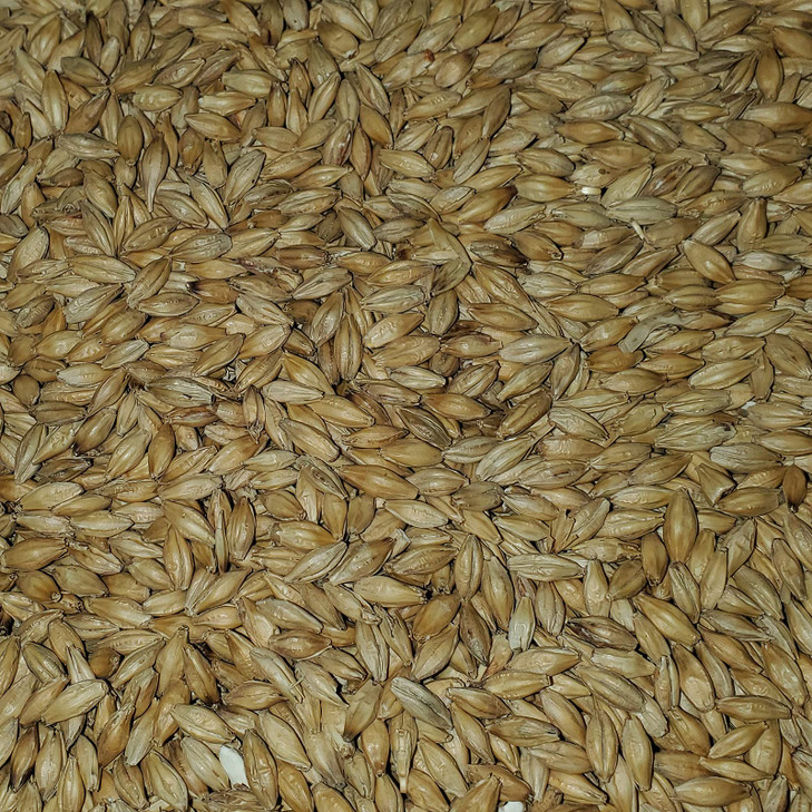 2-Row Brewers Malt for Home Brewing Whole Grain 10lbs