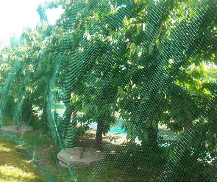 CandyHome 13Ft x 33Ft Anti Bird Protection Mesh Garden Netting Seedlings Plants Flowers Fruit Trees Vegetables from Rodents Deer Reusable Fencing, Gr