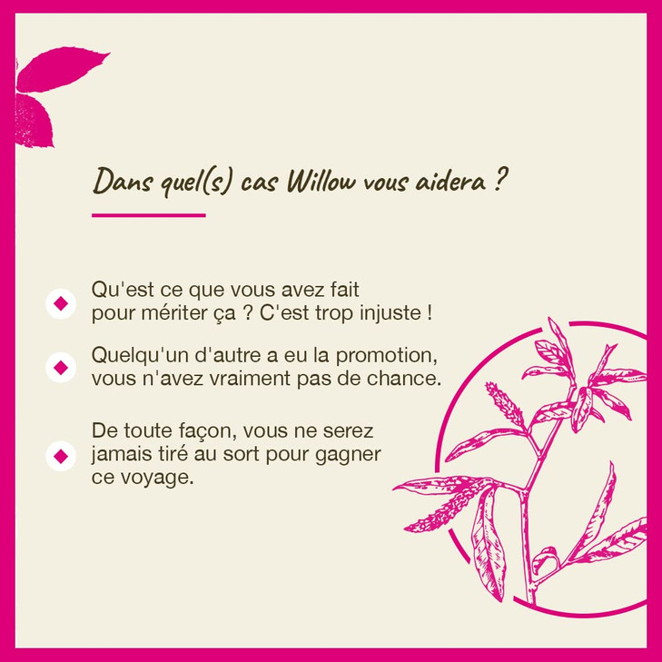 Bach Original Flower Remedies, Willow - Forgive & Forget