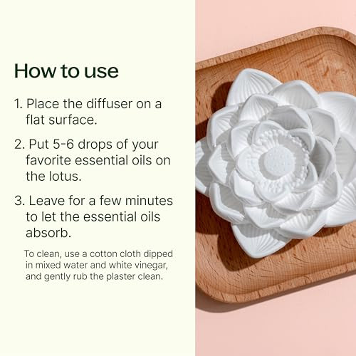 Plant Therapy Passive Lotus Flower Aromatherapy Diffuser