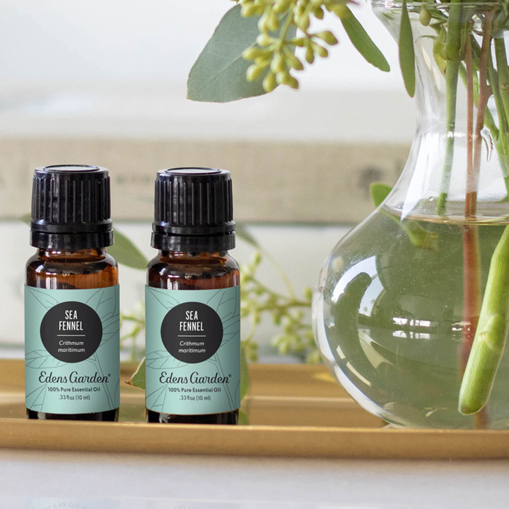 Edens Garden Sea Fennel Essential Oil- 100% Pure Premium Grade, Undiluted