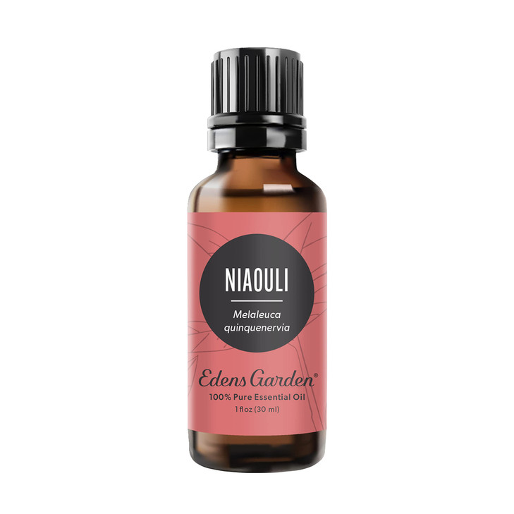 Edens Garden Niaouli Essential Oil- 100% Pure Premium Grade, Undiluted, Natural