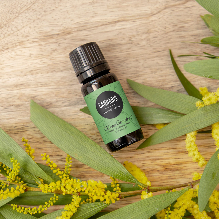 Edens Garden Cannabis Essential Oil- 100% Pure Premium Grade, Undiluted