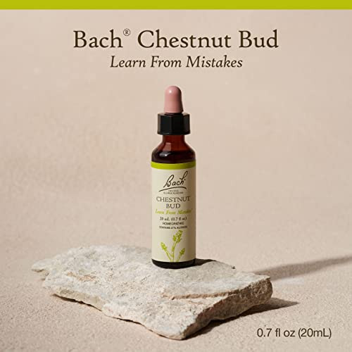 Bach Original Flower Remedies, Chestnut Bud - Learn from Mistakes
