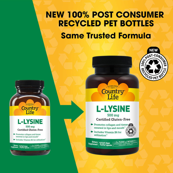 Country Life L-Lysine 500mg with B-6, Supports Immune Health, Promotes Collagen