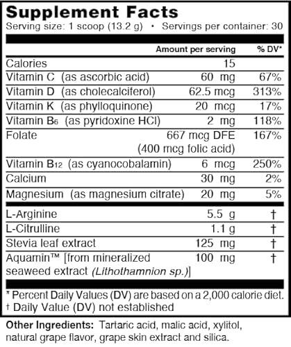 L-ARGININE PRO Supplement Powder - 30 Packets Single Serve Travel Size