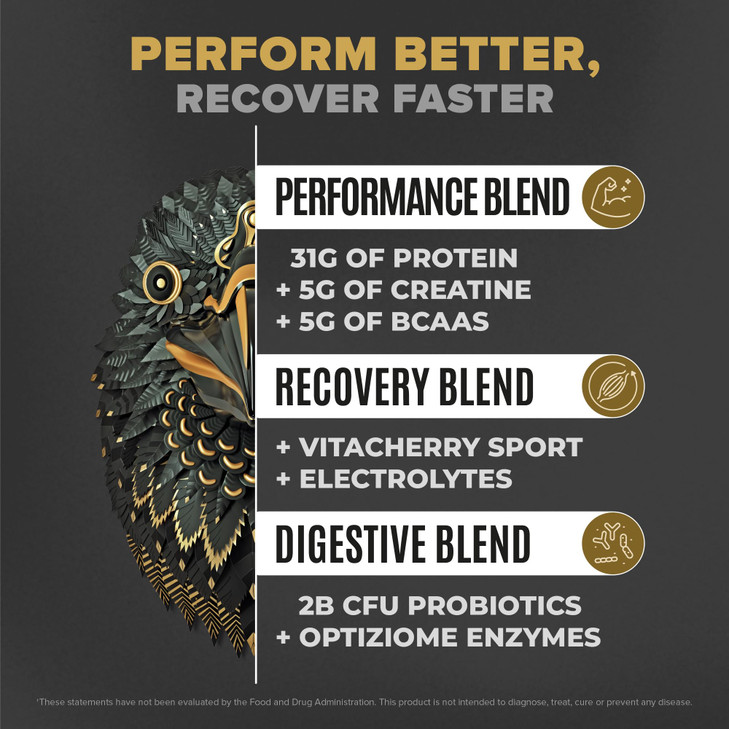 BIRDMAN Falcon Performance Vegan Protein Powder, 31g Protein, 5g Creatine, 5g