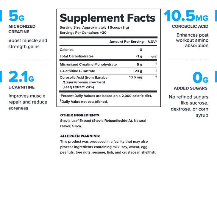 LEGION Recharge Post Workout Supplement