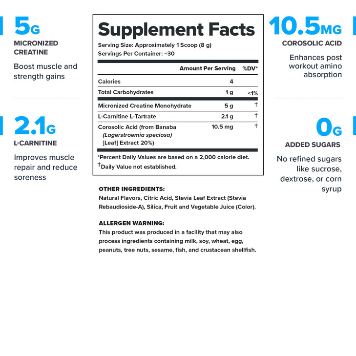 LEGION Recharge Post Workout Supplement