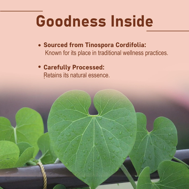 minature Guduchi (Giloy) Powder - (Tinospora Cordifolia)