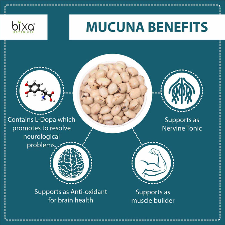 bixa BOTANICAL Mucuna Pruriens Powder - Velvet Bean Powder