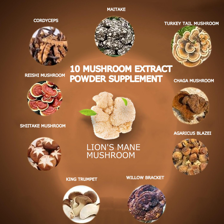Suiyilary Mushroom Coffee, 10 Mushroom Extract Powder Blend Lion's Mane, Reishi