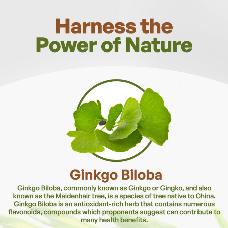 Go Nutra Ginkgo Biloba Powder 8 oz.