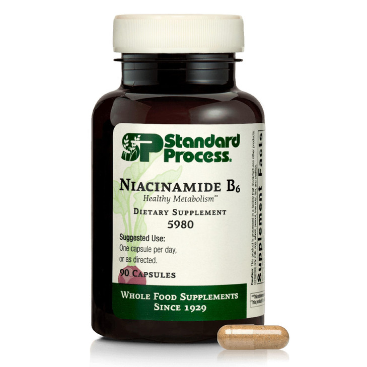Standard Process Niacinamide B6