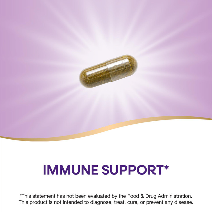 Nature's Way Premium Extract Andrographis, Immune Support*, 300 mg Andrographis