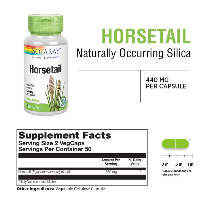 Solaray Horsetail 880 mg