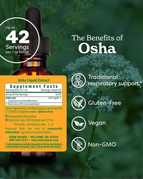 Herb Pharm Osha Root Liquid Extract for Respiratory Support - 1 Ounce