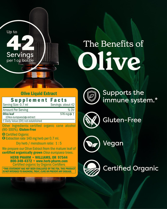 Herb Pharm Certified Organic Olive Leaf Liquid Extract for Immune System Support