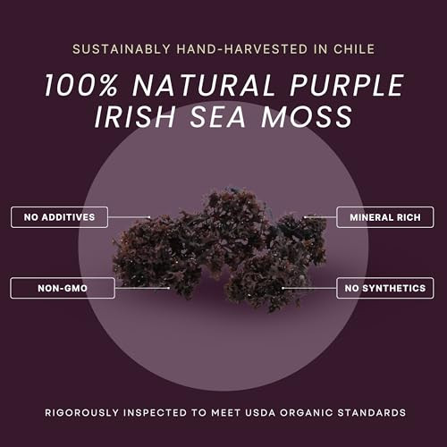 USDA Organic Irish Sea Moss - Wildcrafted Chondrus Crispus (Purple)