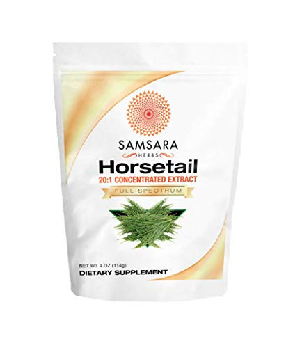 Samsara Herbs Horsetail Powder (4oz/114g) - 20:1 Concentrated Extract