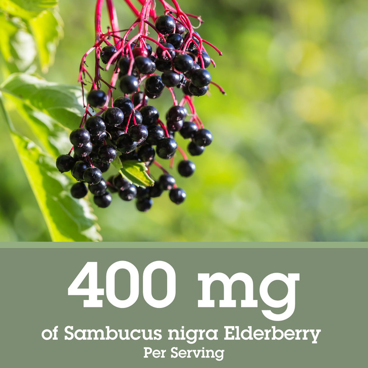 Quantum Health Black Elderberry Liquid Extract Sambucus Nigra Immune Support