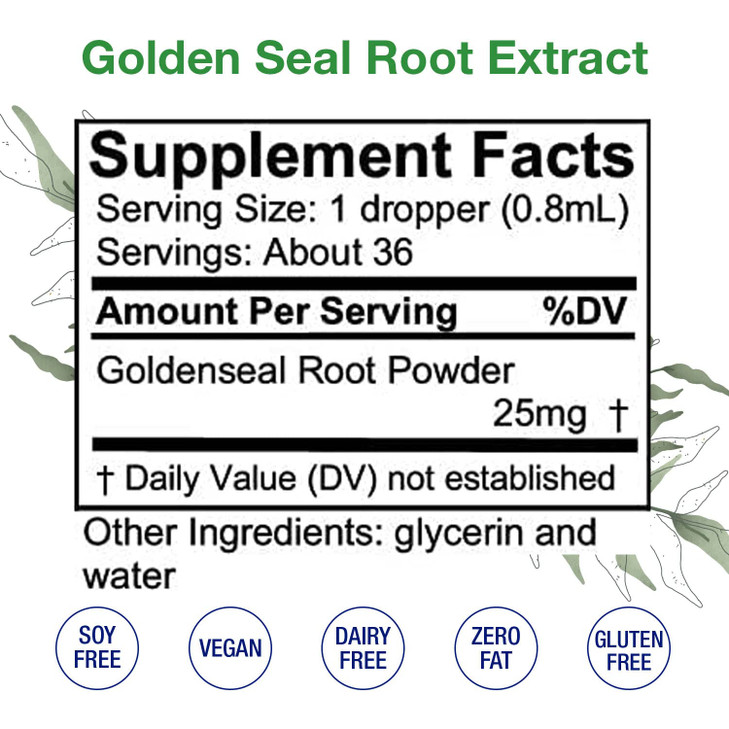 GoldenSeal Alcohol Free Extract Liquid