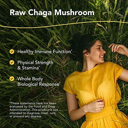 North American Herb & Spice ChagaMax - 90 Capsules