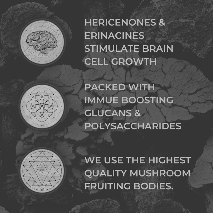 Nootrum Mushrooms, 1 Month Supply of Capsules: Containing Lion's Mane