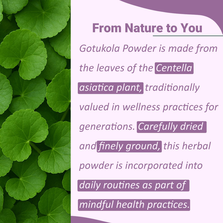 mi nature Gotu Kola Powder (227g)(8Oz)