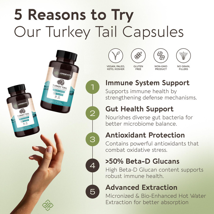 Organic Turkey Tail Mushroom Capsules Supplement (120)