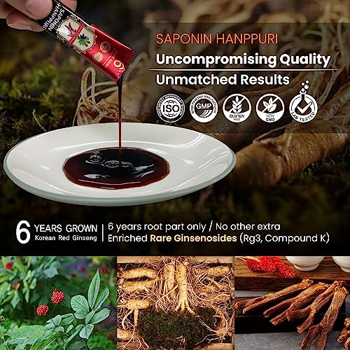 BTGIN Saponin Hanppuri Everyday Korean Red Panax Ginseng Extract Stick
