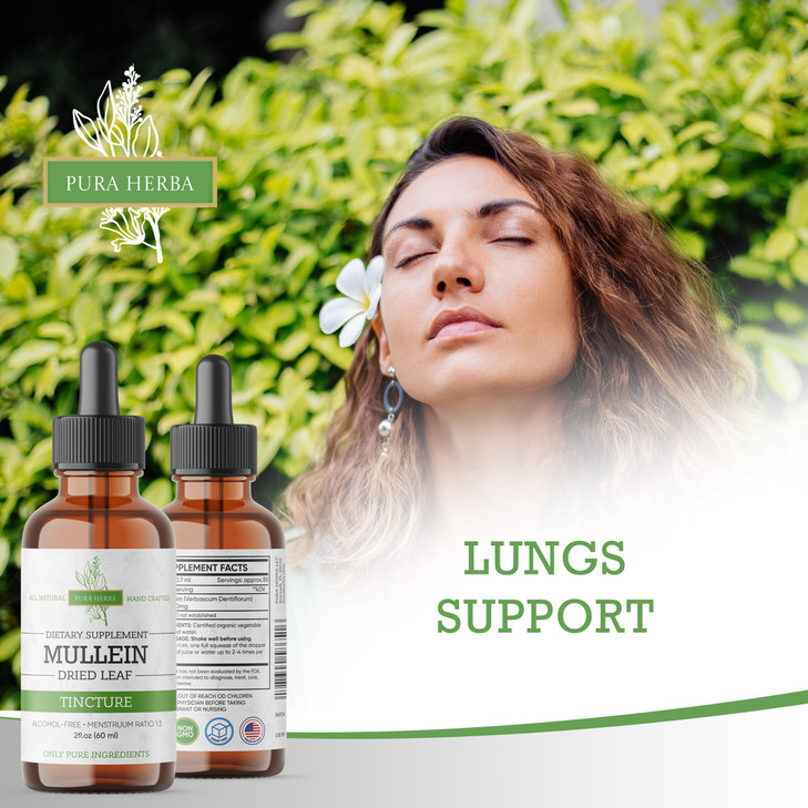 Pura Herba Mullein Tincture